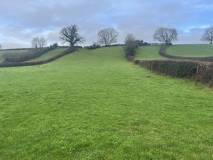 Photo 2- click for photo gallery